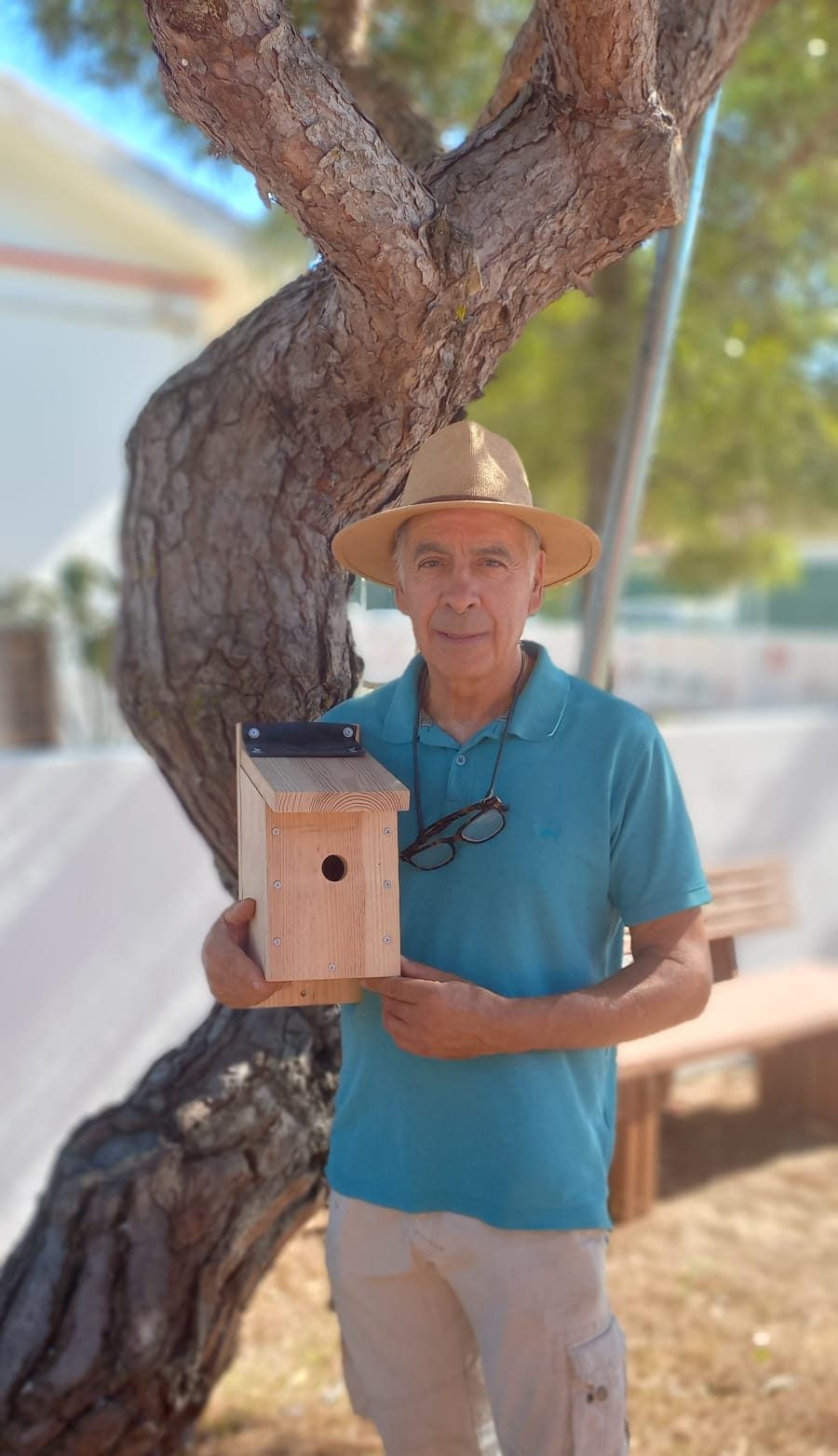As Aves de Lisboa – histórias quase sempre felizes